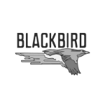 Blackbird