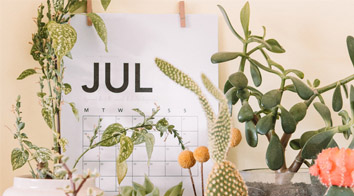 ASIC Price Increases FY20