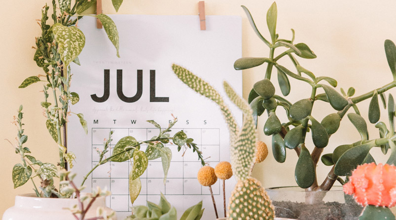 ASIC Price Increases FY20